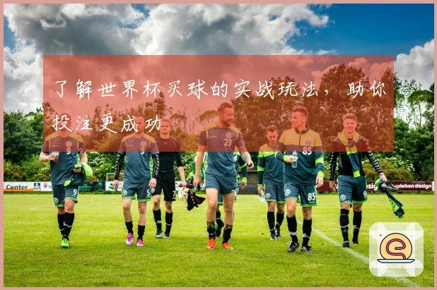 了解世界杯买球的实战玩法，助你投注更成功