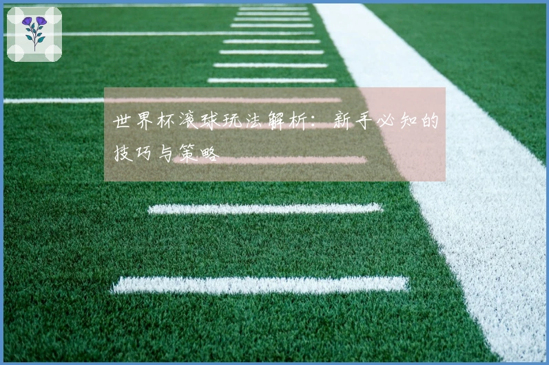 世界杯滚球玩法解析：新手必知的技巧与策略